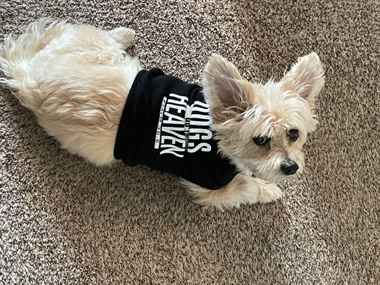 Dogs Go To Heaven - Dog Shirt