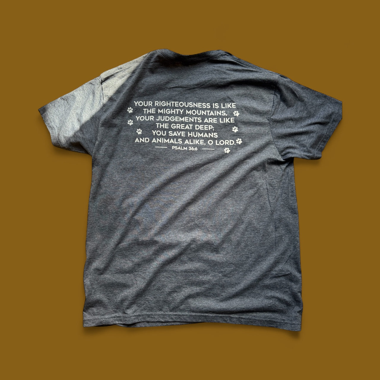 New Dogs Go To Heaven T-Shirt