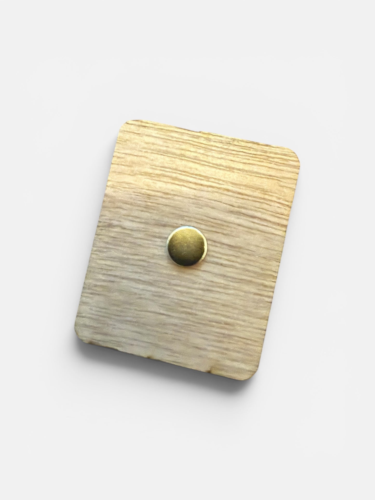 Mary Did You Know Wooden Magnet